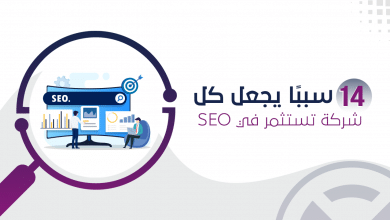 أسباب الاستثمار في السيو
