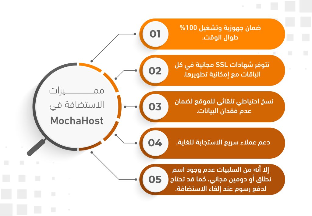 السمات الأساسية للاستضافة في MochaHost